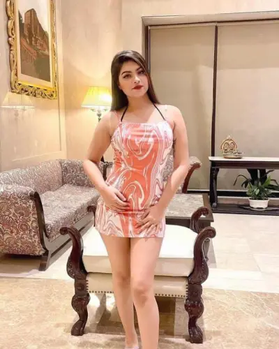 Escorts Service In Sridungargarh